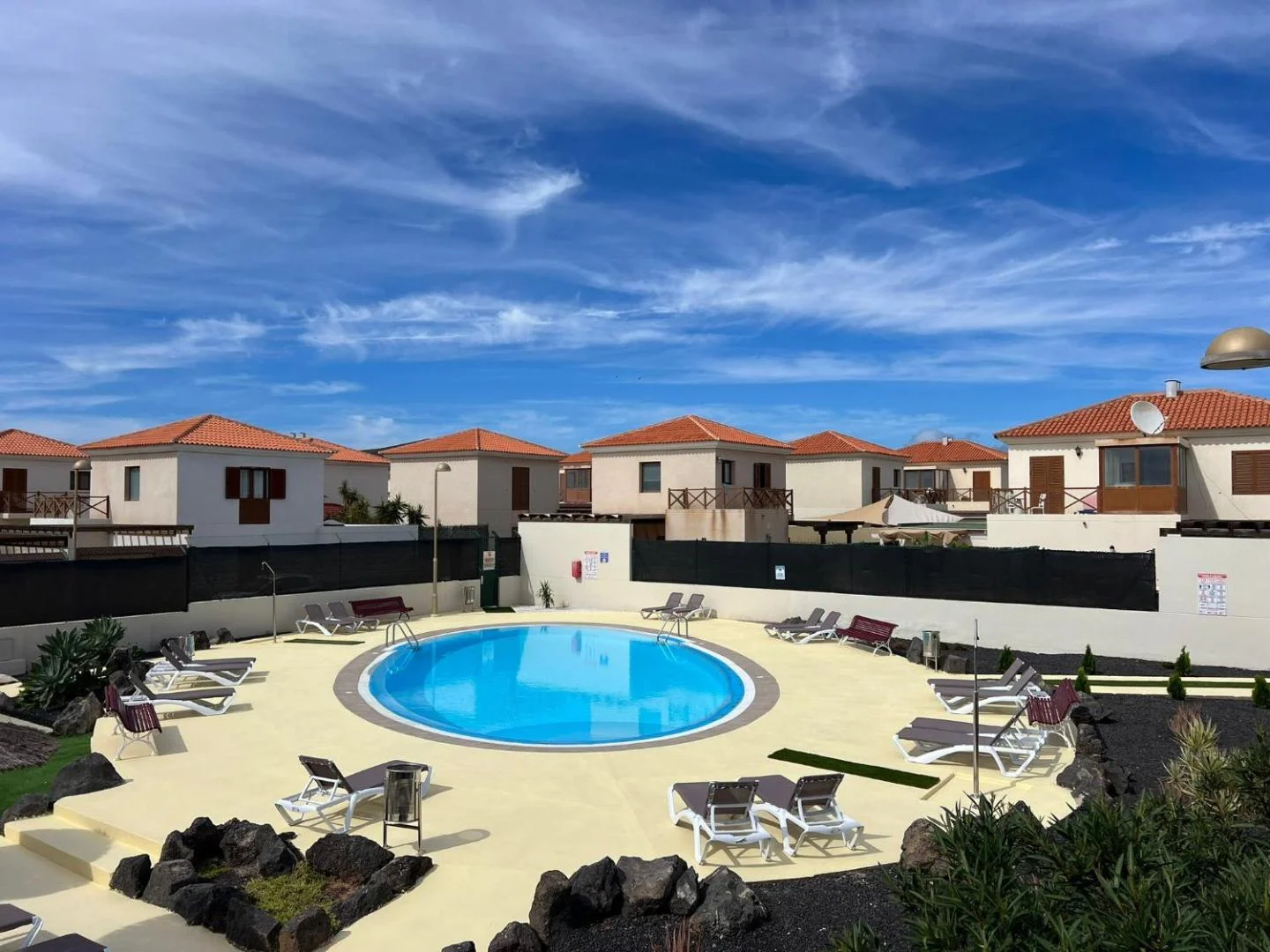 Alcaudón HolidayFV 5