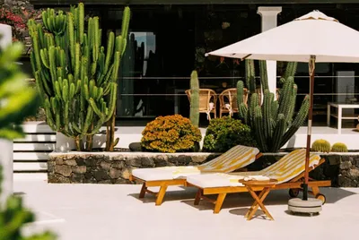 UNIQUE Homes Lajares - adults only — photo 2