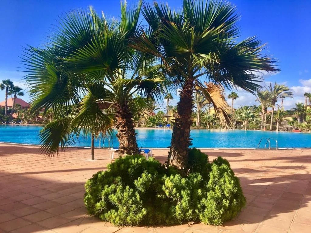 Fuerteventura Apartments Corralejo 1