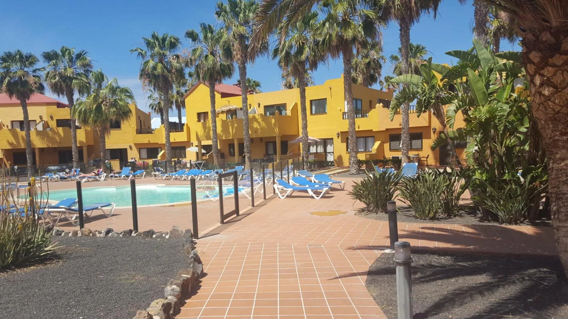 Oasis Royal 3 Pools 5