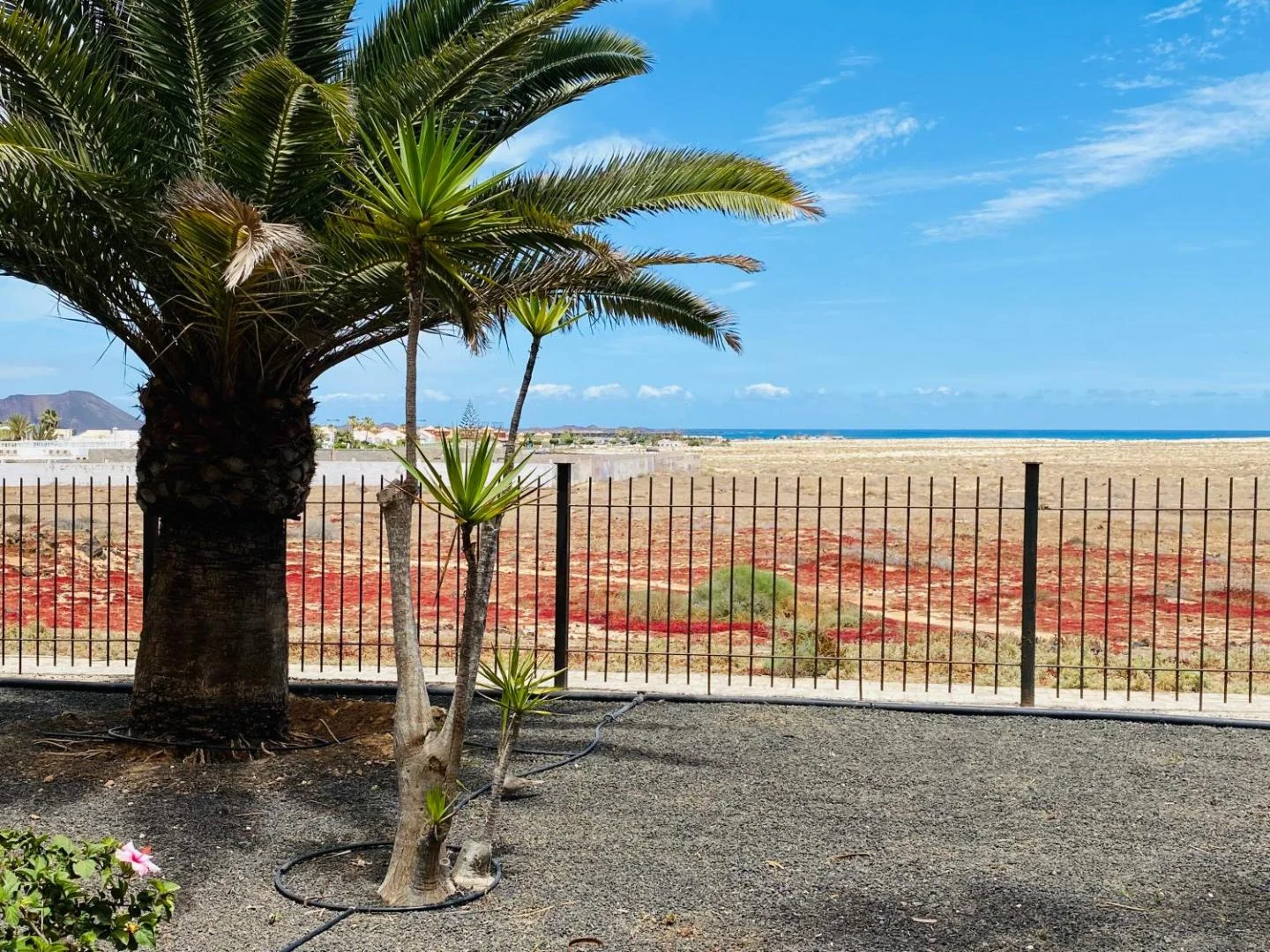 Apartamento Oasis Tamarindo Vista Al Mar 4