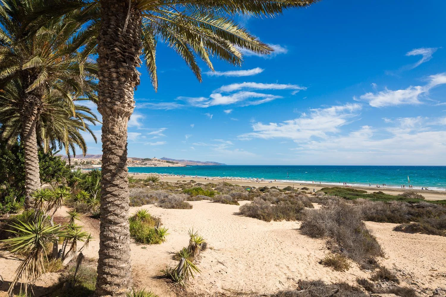 Home2Book Chill Terrace & Pool Escape Costa Calma 5