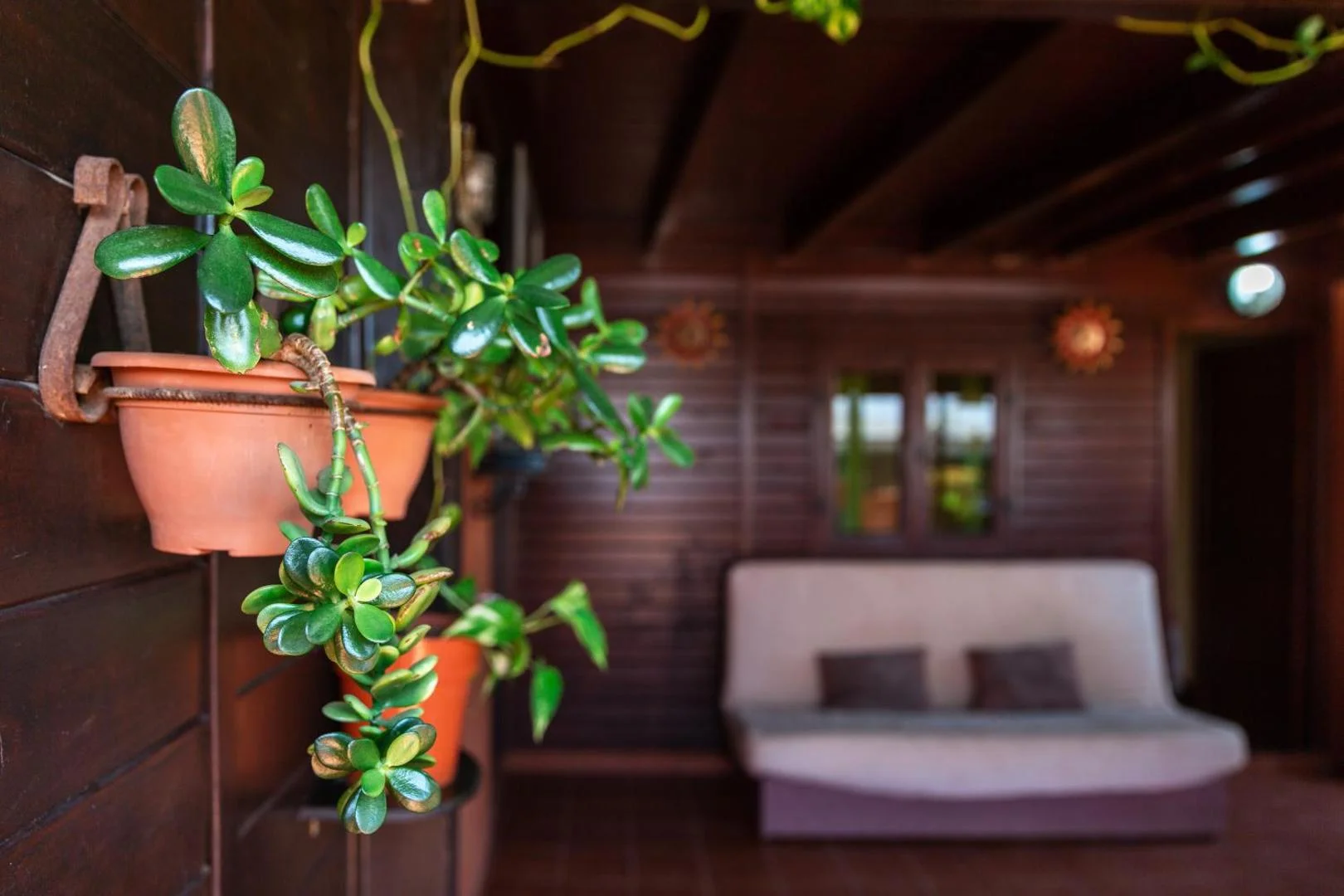 Casa Orymar 3