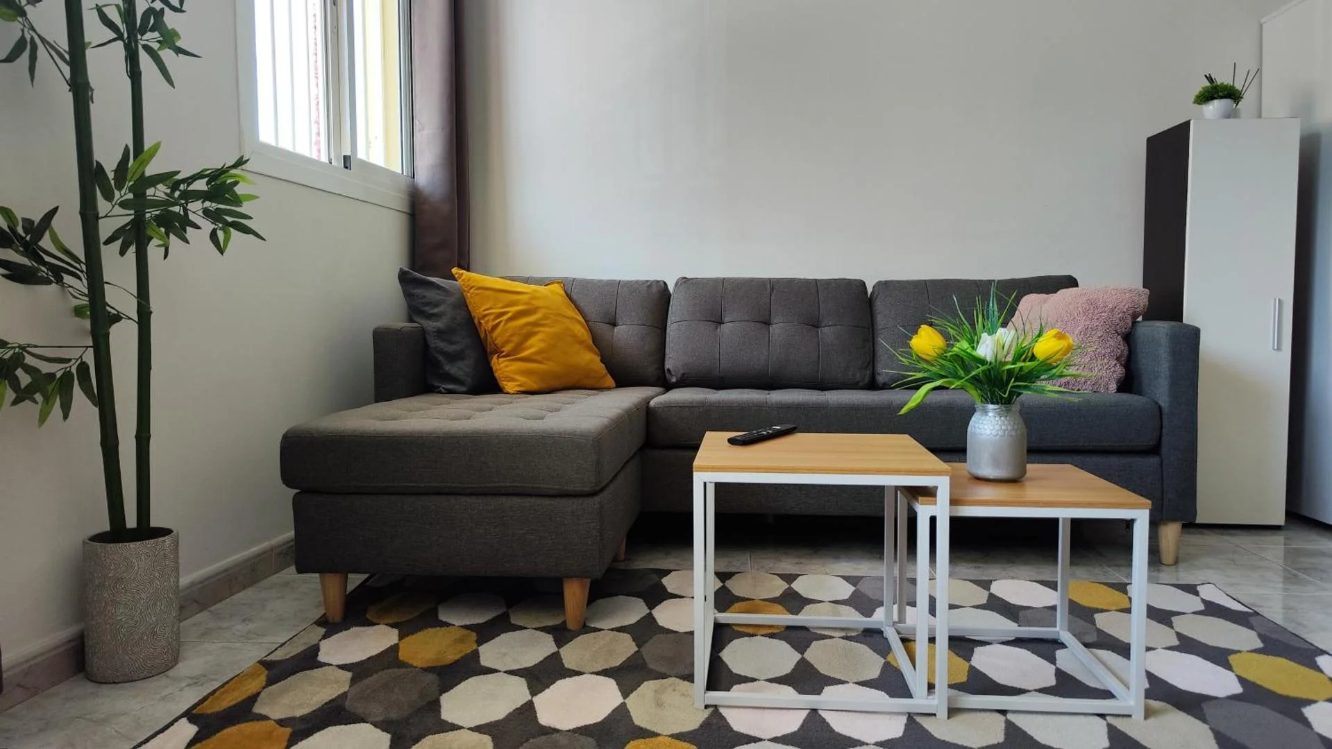 Fabelo Apartment, Puerto del Rosario 5
